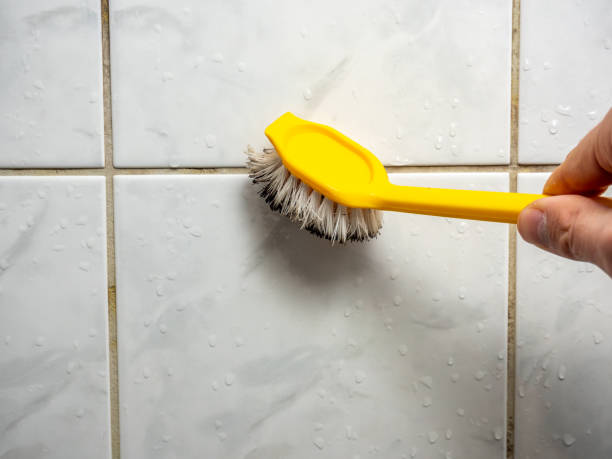 Best Mold Remediation  in Smithfield, NC