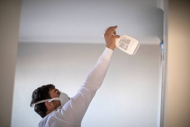 Best Mold Cleaning Services  in Smithfield, NC