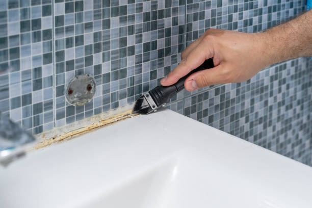 Best Mold Remediation Services  in Smithfield, NC