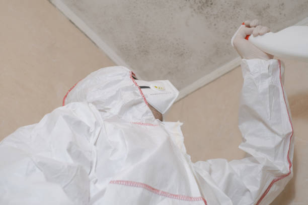 Best Certified Mold Removal  in Smithfield, NC