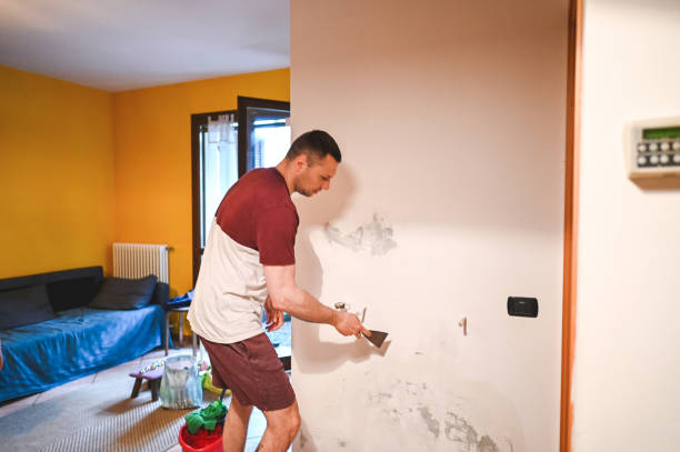 Best Mold Damage Repair  in Smithfield, NC